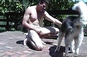 Phim gay viet nam hay