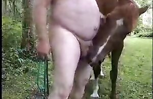 Phim khiêu dâm ngựa với một con vật xoắn