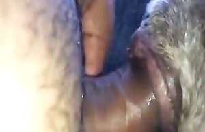 Truyện sex chó với tinh ranh lớn đang hấp dẫn